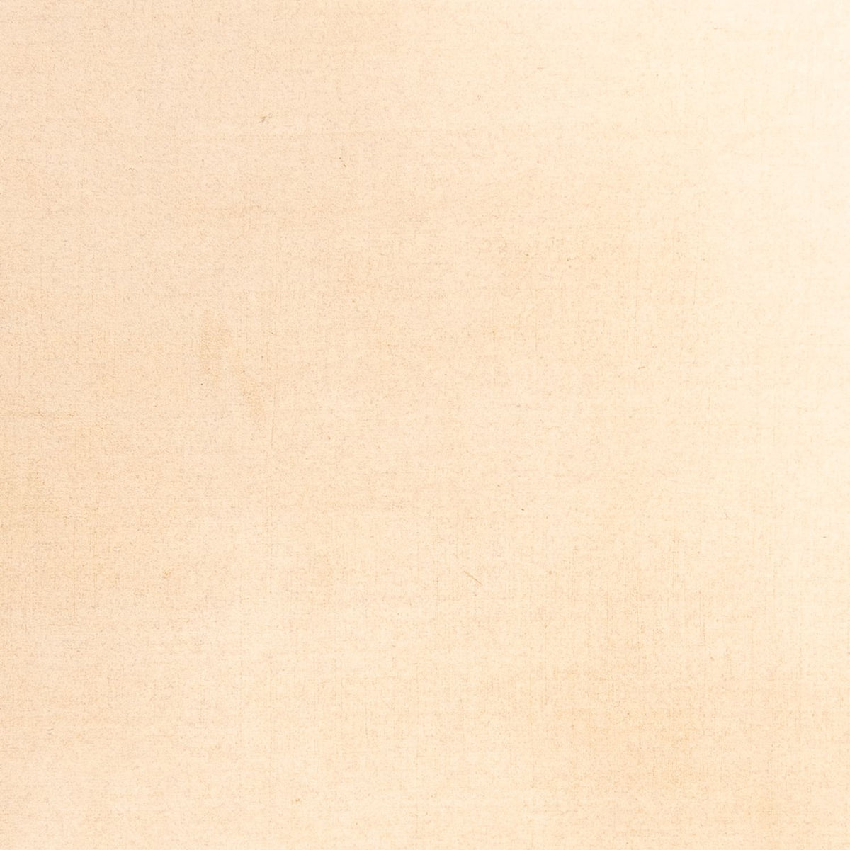 Dywan Gabbeh - Miękki - 288 x 205 cm - beżowy