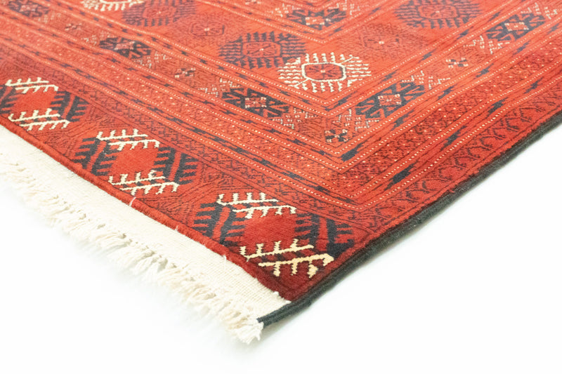 Afgański dywan - Bukhara - 295 x 192 cm - ciemnobrązowy