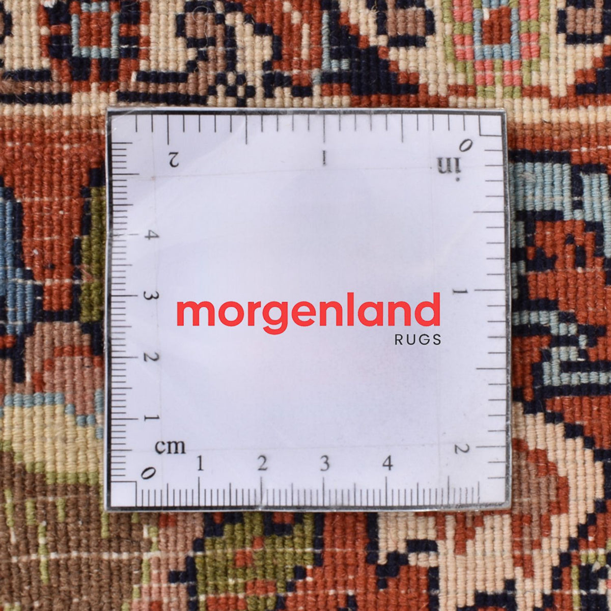 Dywan perski - Bijar - 226 x 169 cm - jasna mocca