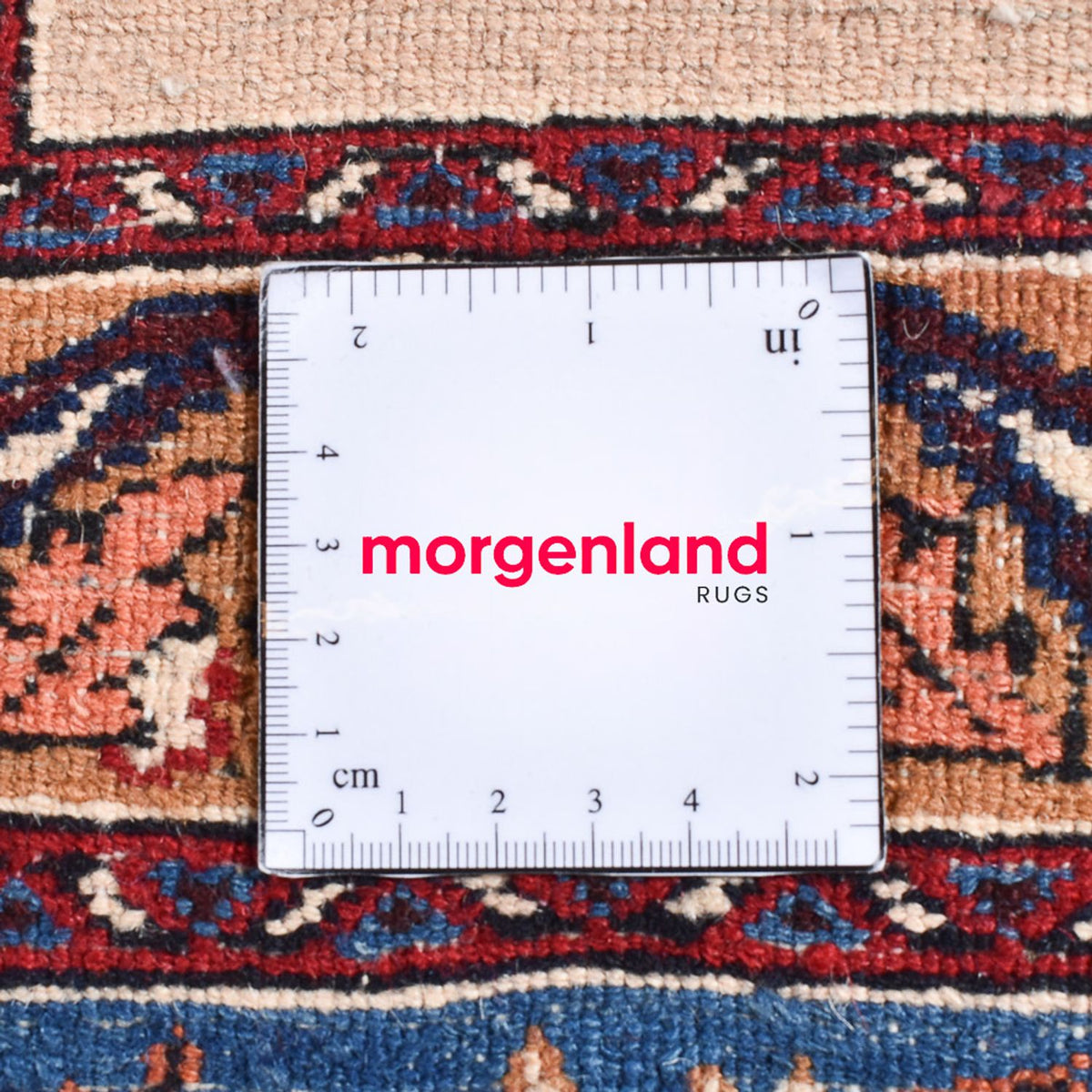 Dywan perski - Klasyczny - 310 x 212 cm - ciemnoniebieski