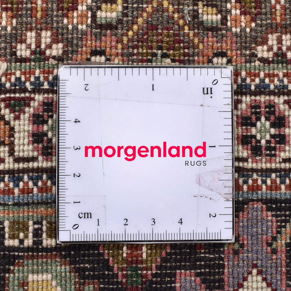 Dywan perski - Tabriz - Królewski kwadratowy  - 198 x 194 cm - jasnobrązowy