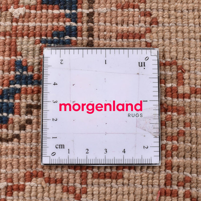 Dywan Zieglera - 284 x 210 cm - jasnoniebieski