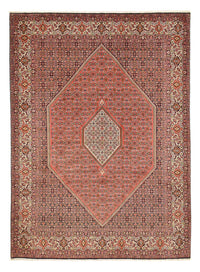 Bidjar - Zanjan Dywan 292x400cm - Dywan perski – product image