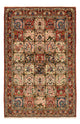 Bakhtiari Dywan 239x157cm - Dywan perski