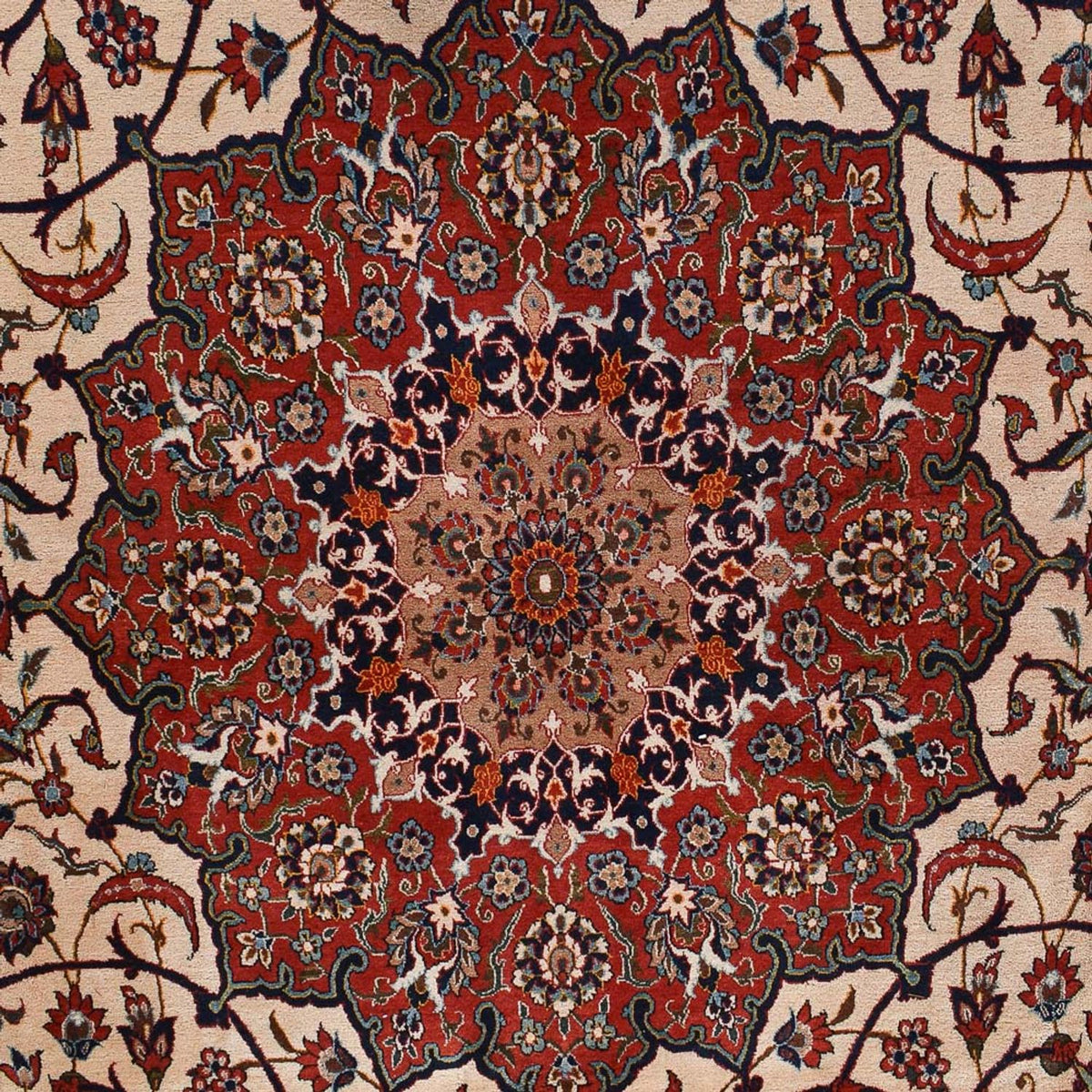 Dywan perski - Isfahan - Premium - 518 x 314 cm - kremowy
