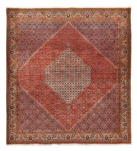 Bidjar Dywan 260x294cm - Dywan perski – product image