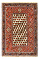 Kashkuli Dywan 260x172cm - Dywan perski