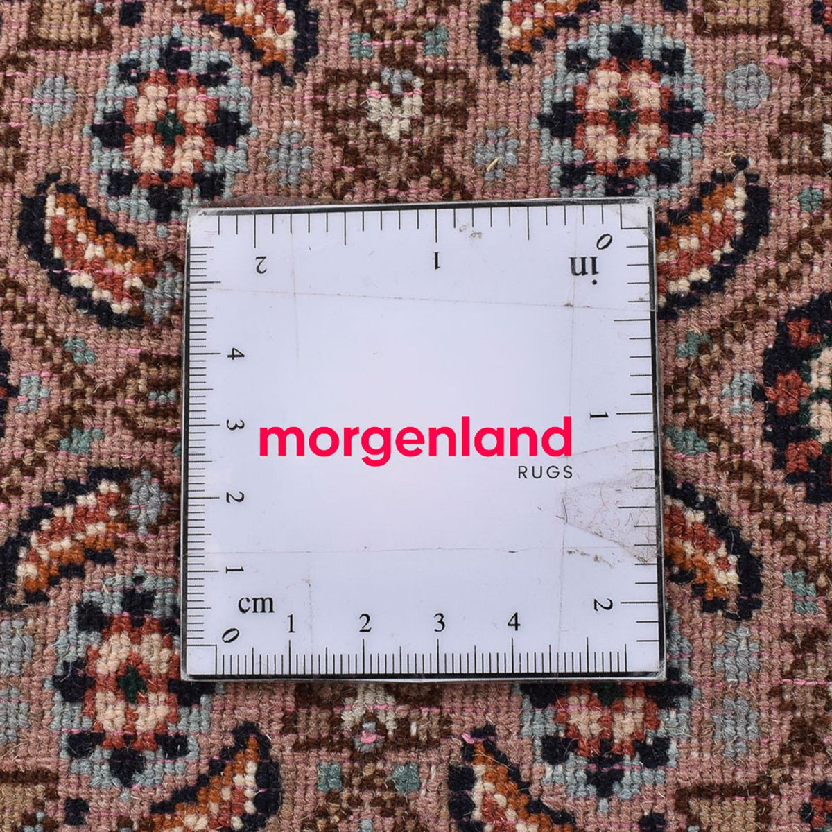 Dywan perski - Klasyczny - 346 x 246 cm - jasnobrązowy