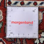 Dywan perski - Klasyczny - 290 x 204 cm - rdza