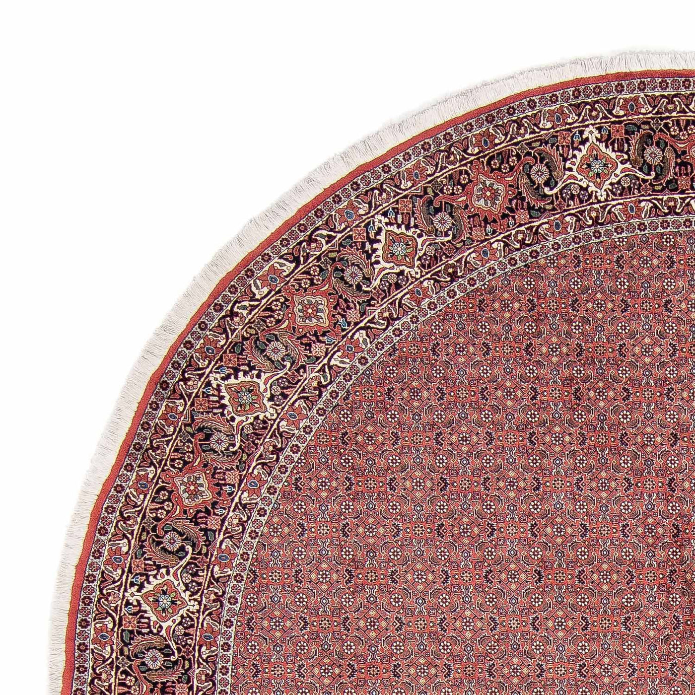 Bidjar Dywan 305x305cm - Dywan perski