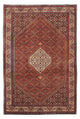 Bidjar Dywan 245x167cm - Dywan perski