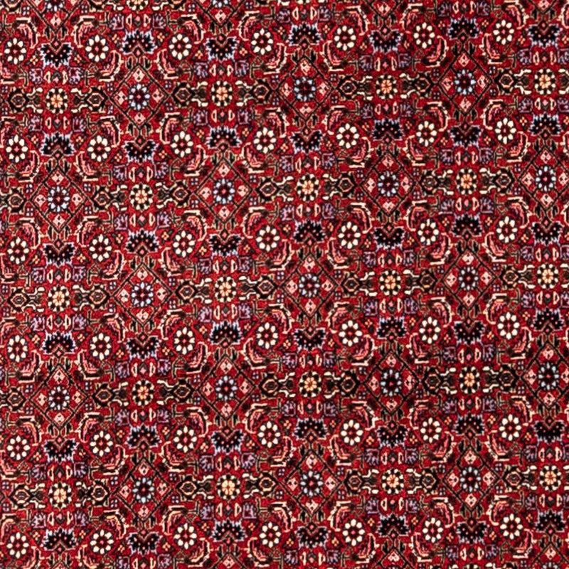 Perski dywan - Bijar - Royal - 331 x 254 cm - czerwony