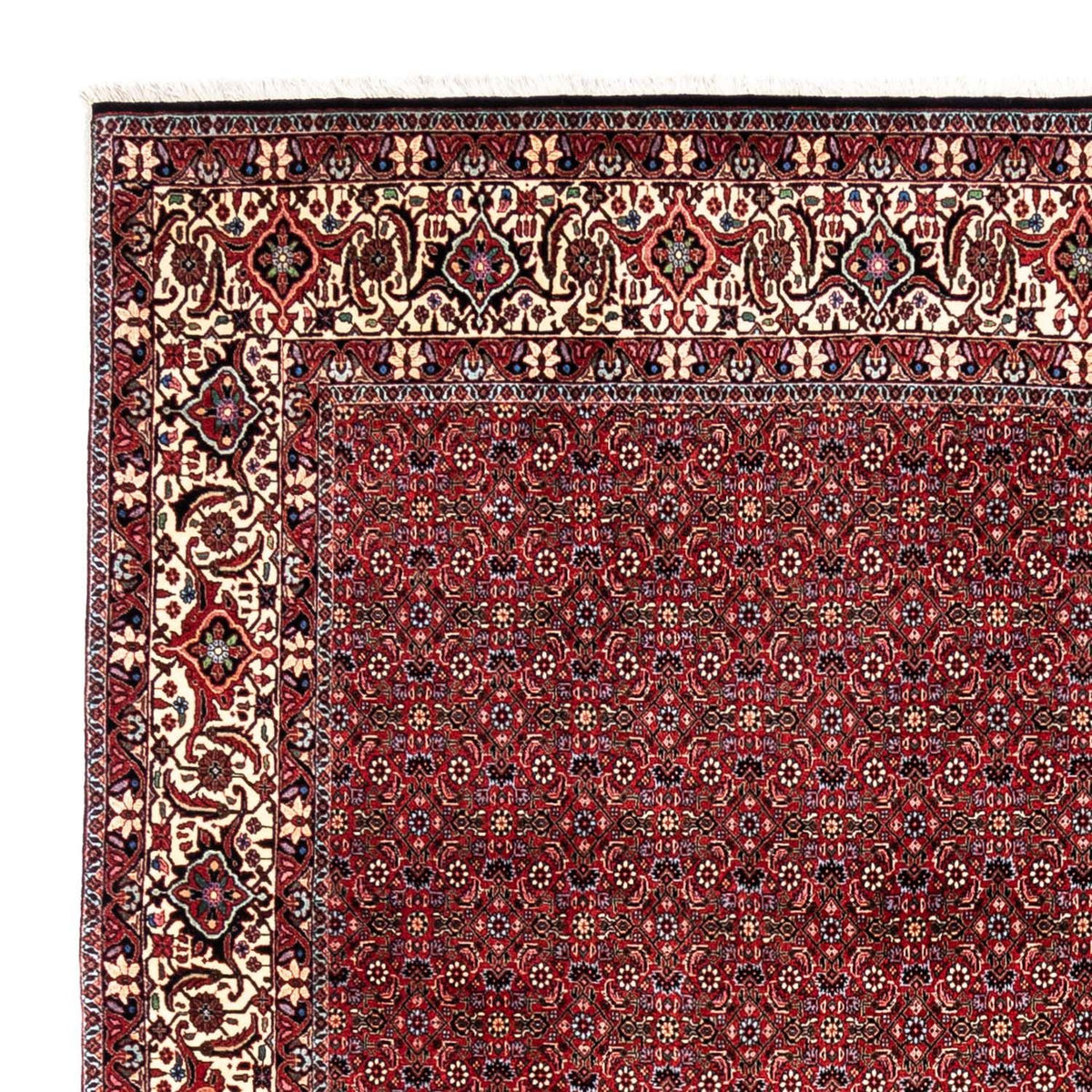 Perski dywan - Bijar - Royal - 331 x 254 cm - czerwony