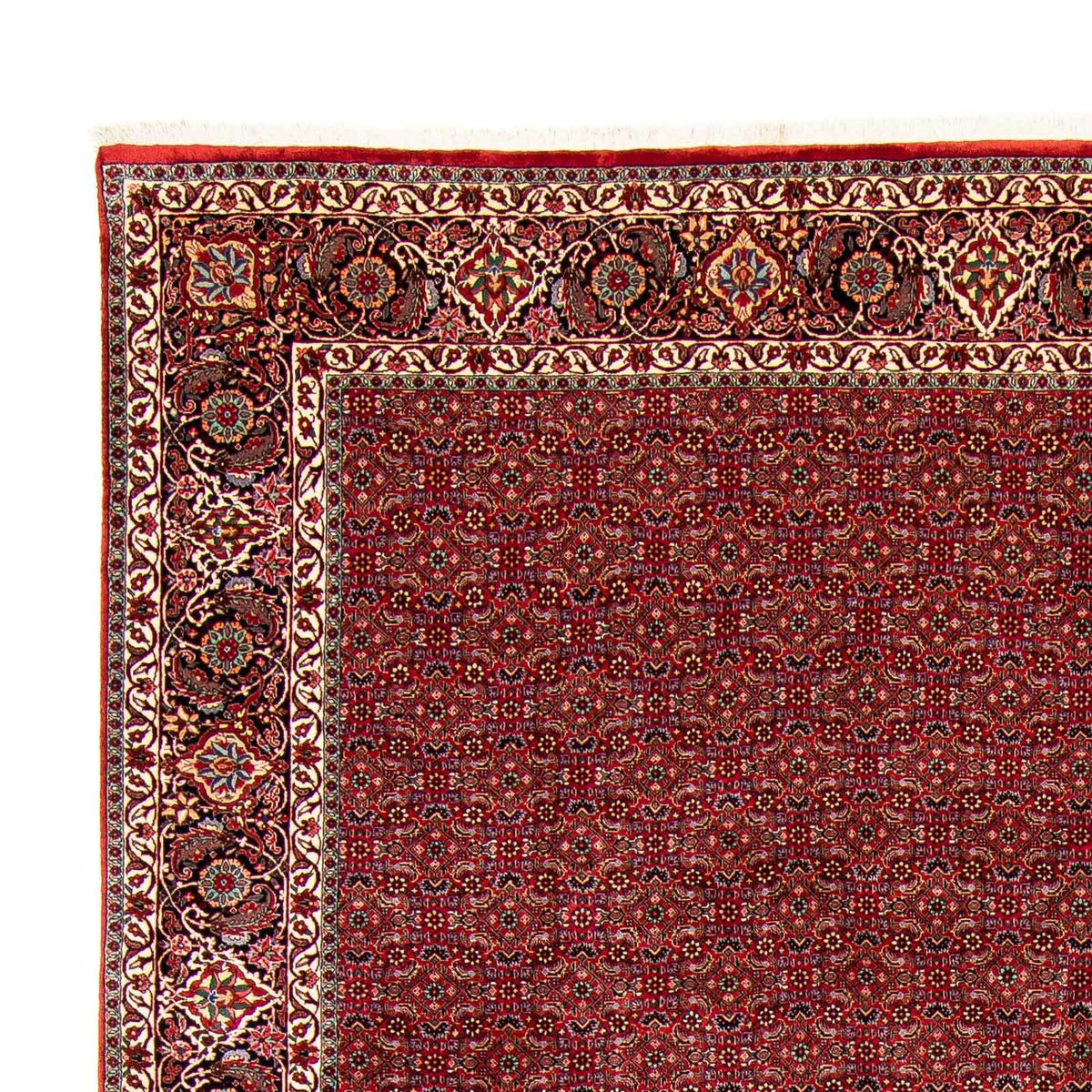 Bidjar Dywan 298x381cm - Dywan perski
