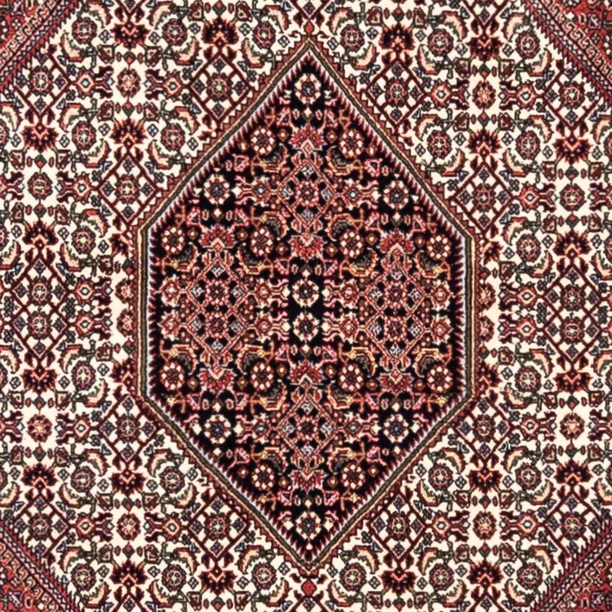 Perski dywan - Bijar - Royal - 295 x 200 cm - czerwony