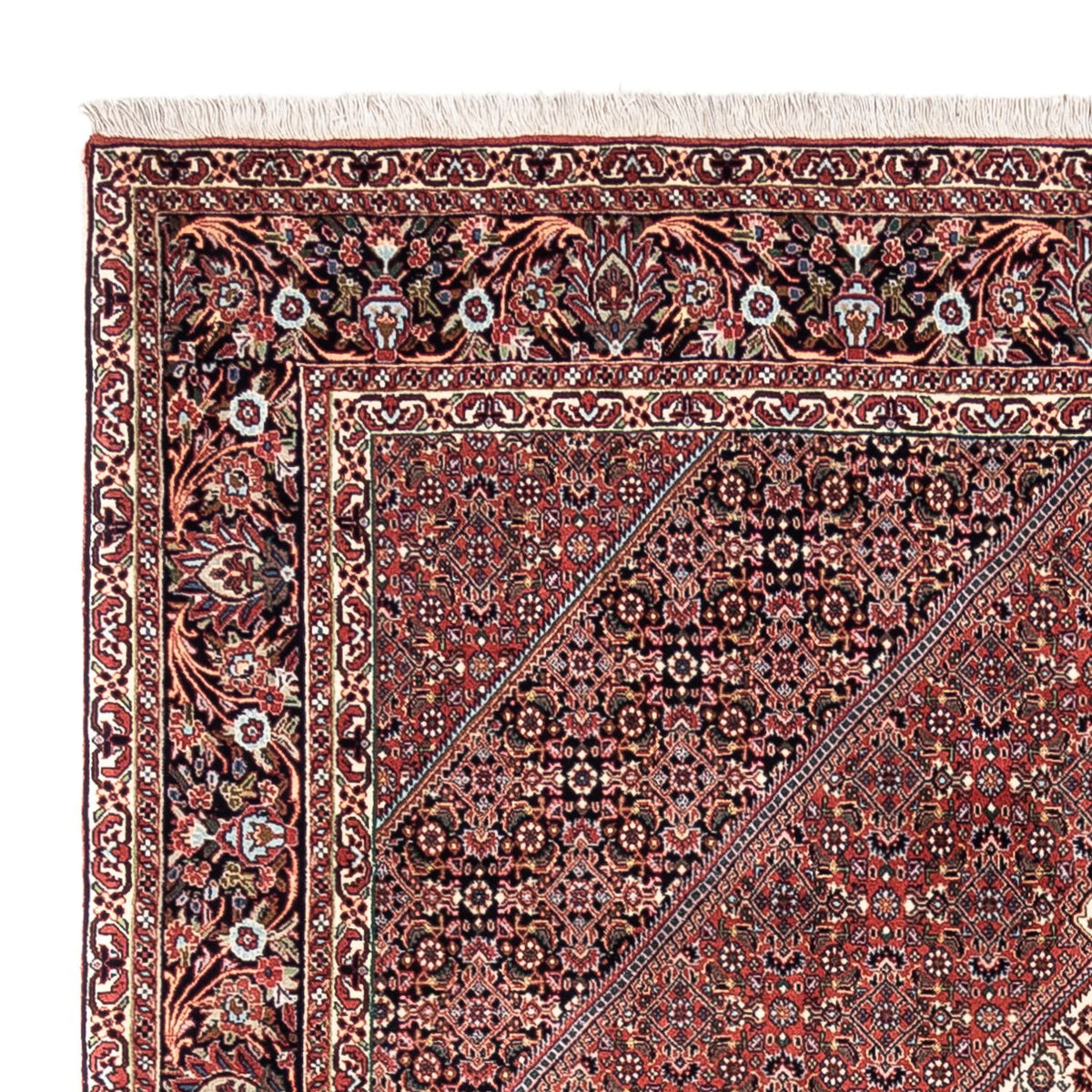 Bidjar - Takab Dywan 200x295cm - Dywan perski