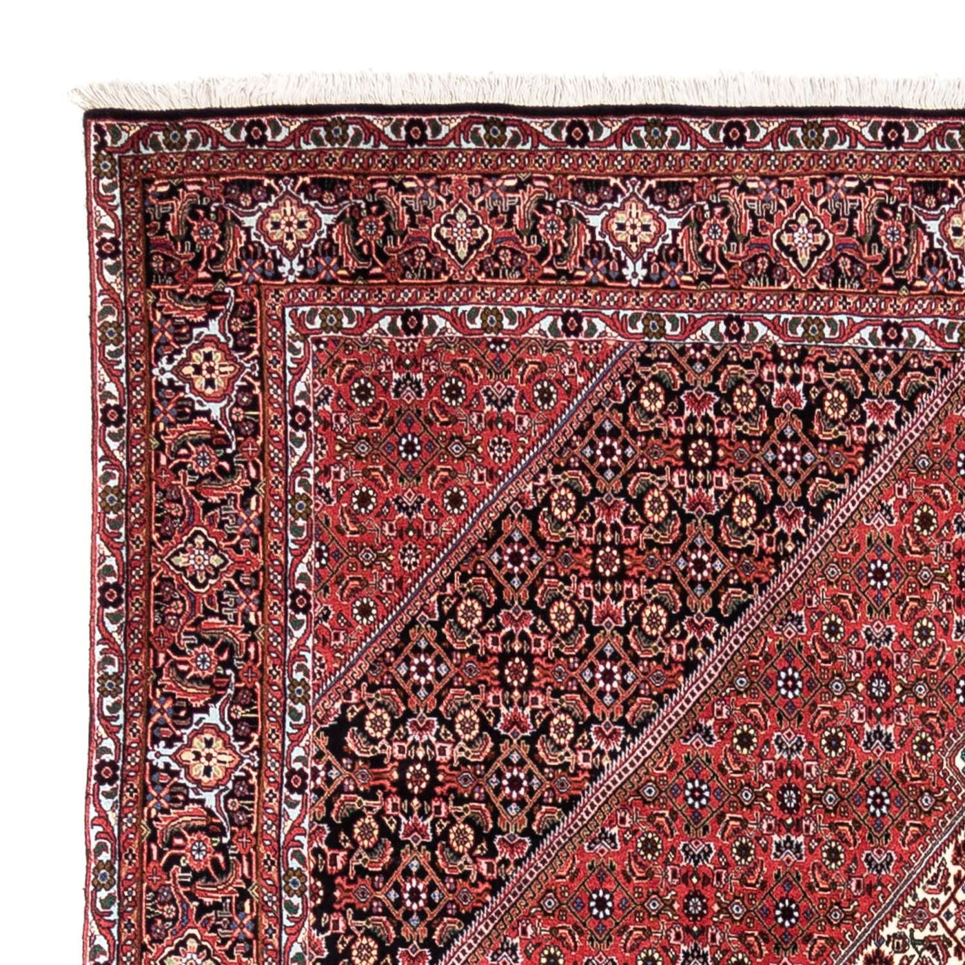 Bidjar - Takab Dywan 300x200cm - Dywan perski