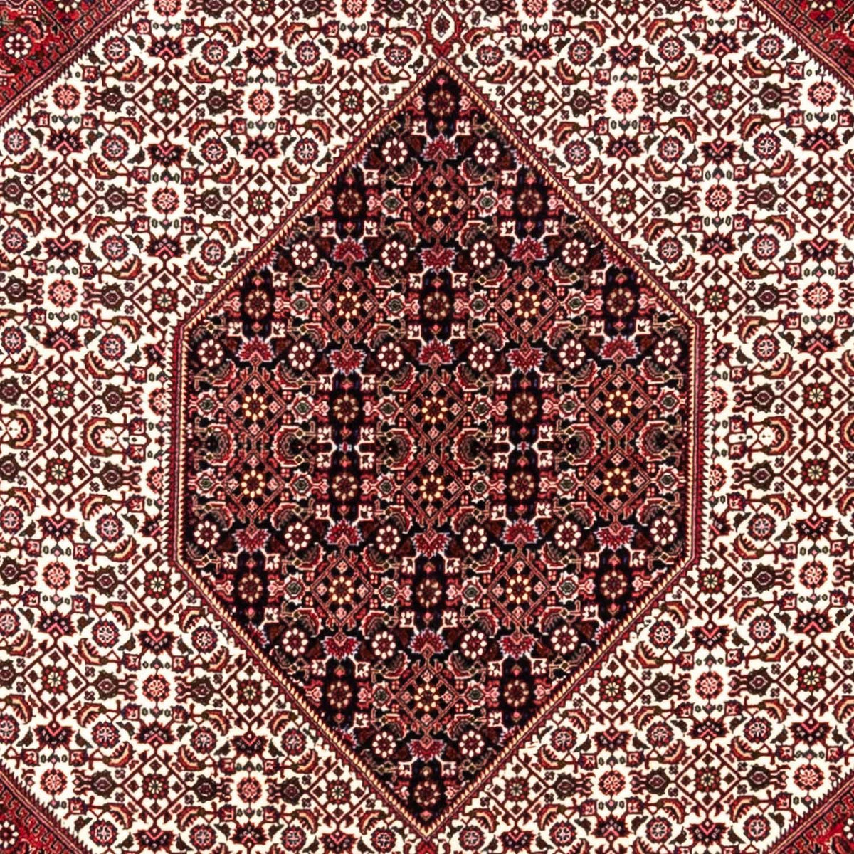 Perski dywan - Bijar - Royal - 360 x 253 cm - czerwony