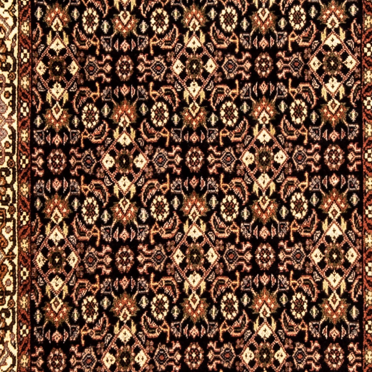 Biegacz Dywan perski - Bijar - 285 x 70 cm - wielokolorowy