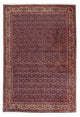 Bidjar Dywan 237x168cm - Dywan perski