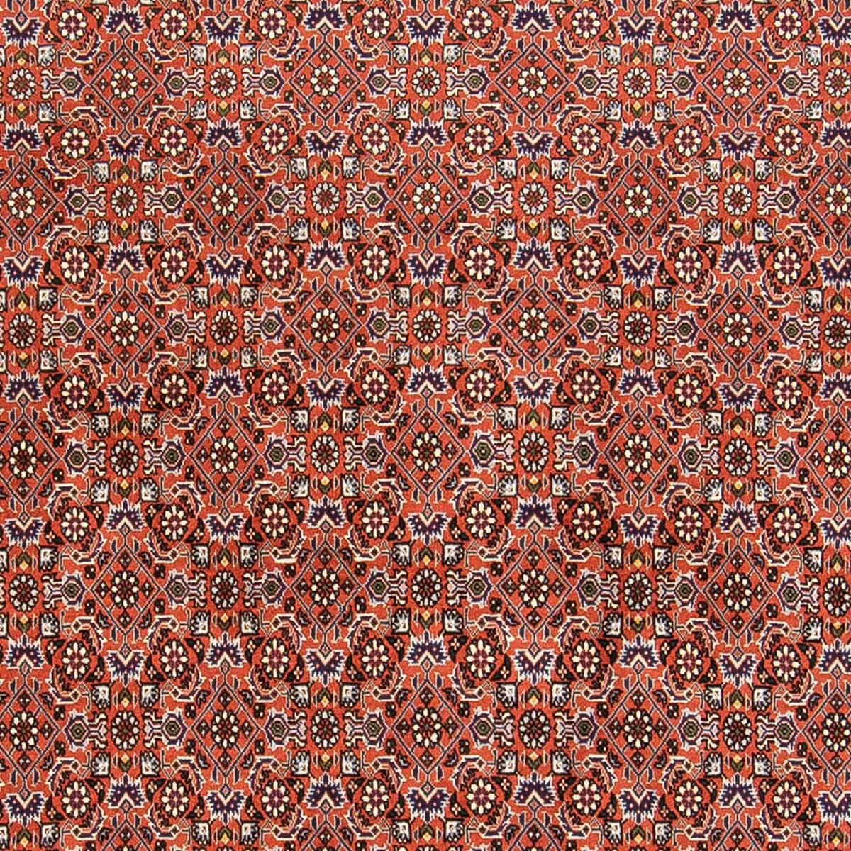 Dywan perski - Bijar - 230 x 168 cm - rdza