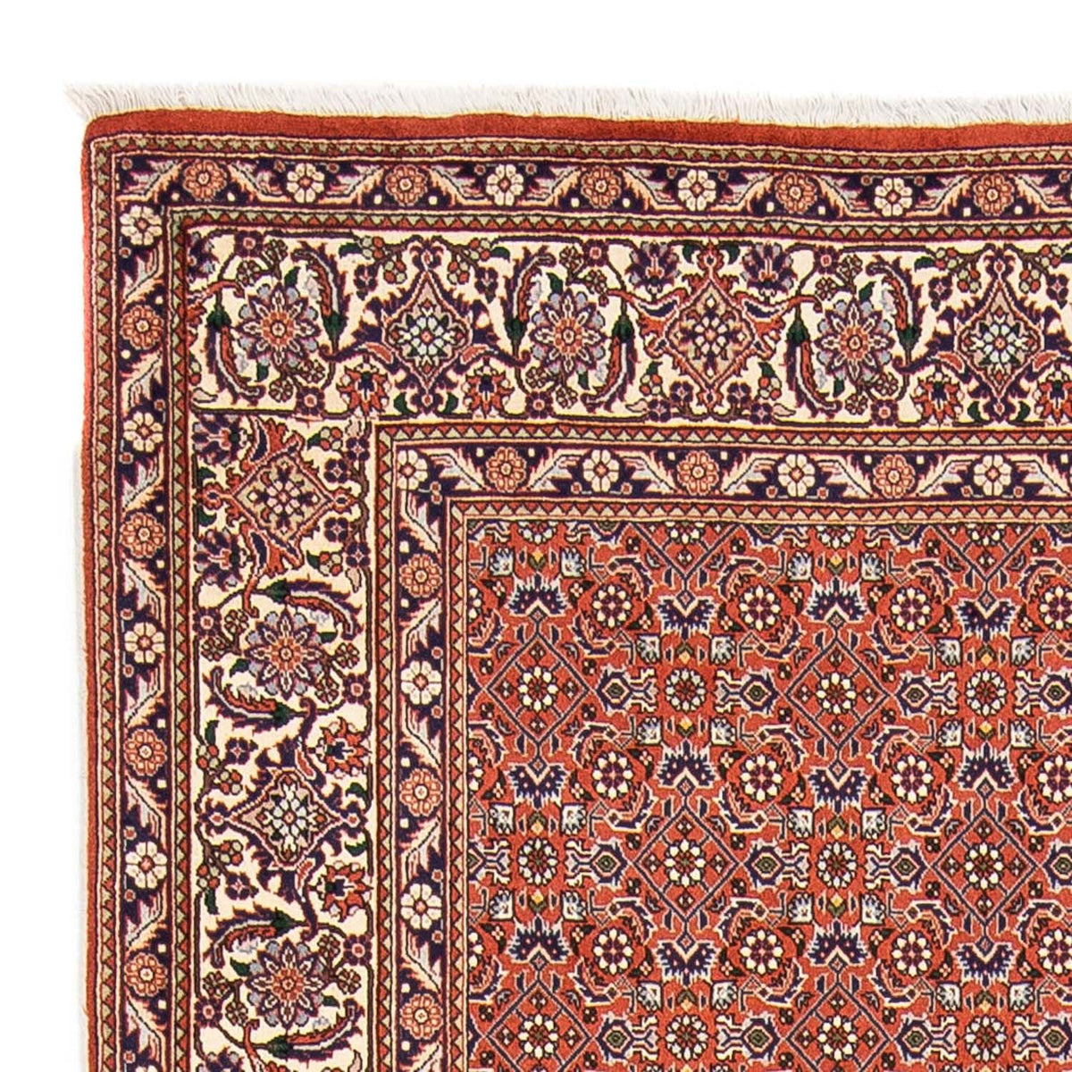 Bidjar Dywan 168x230cm - Dywan perski