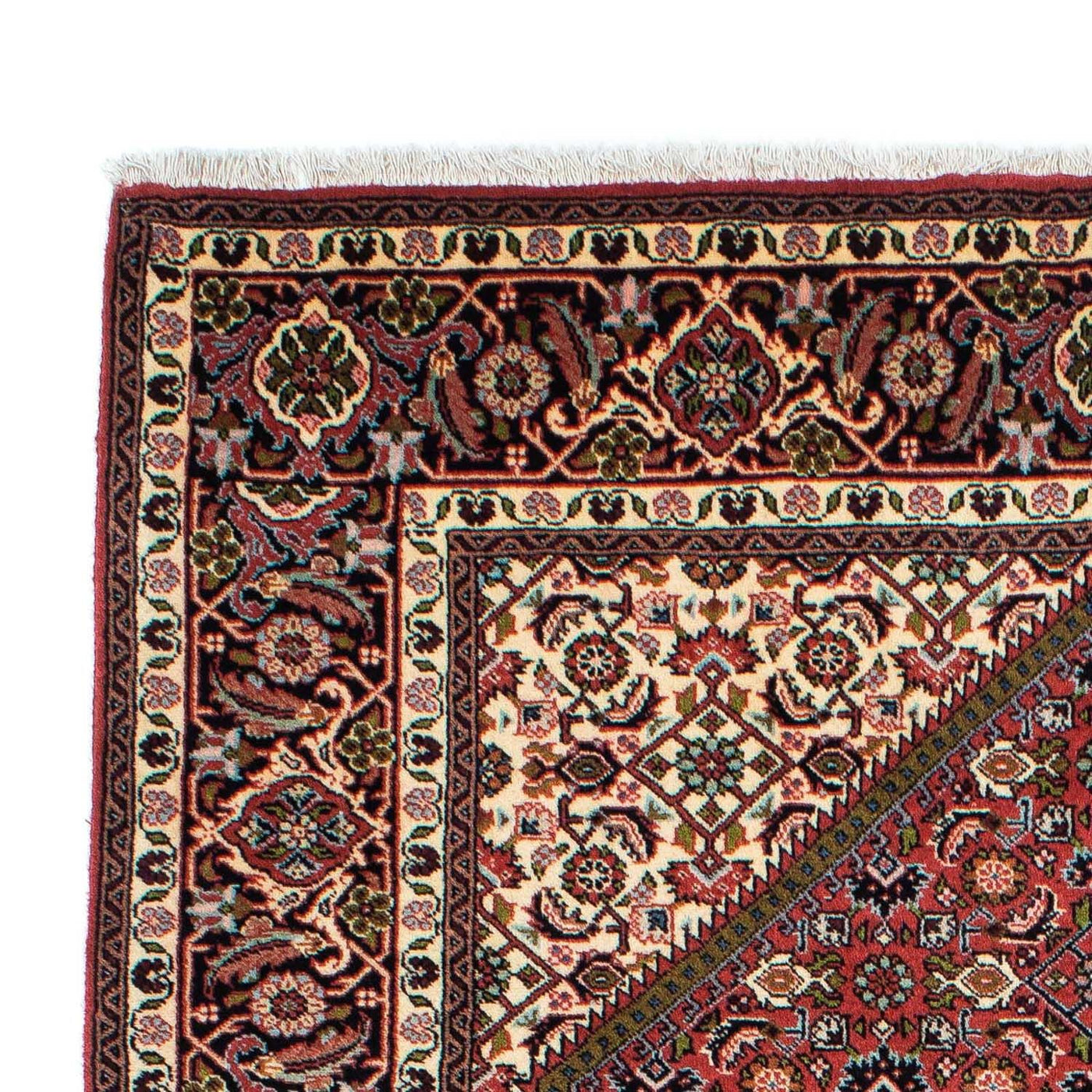 Bidjar - Zanjan Dywan 230x139cm - Dywan perski