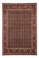Hosseinabad Dywan 170x250cm - Dywan perski