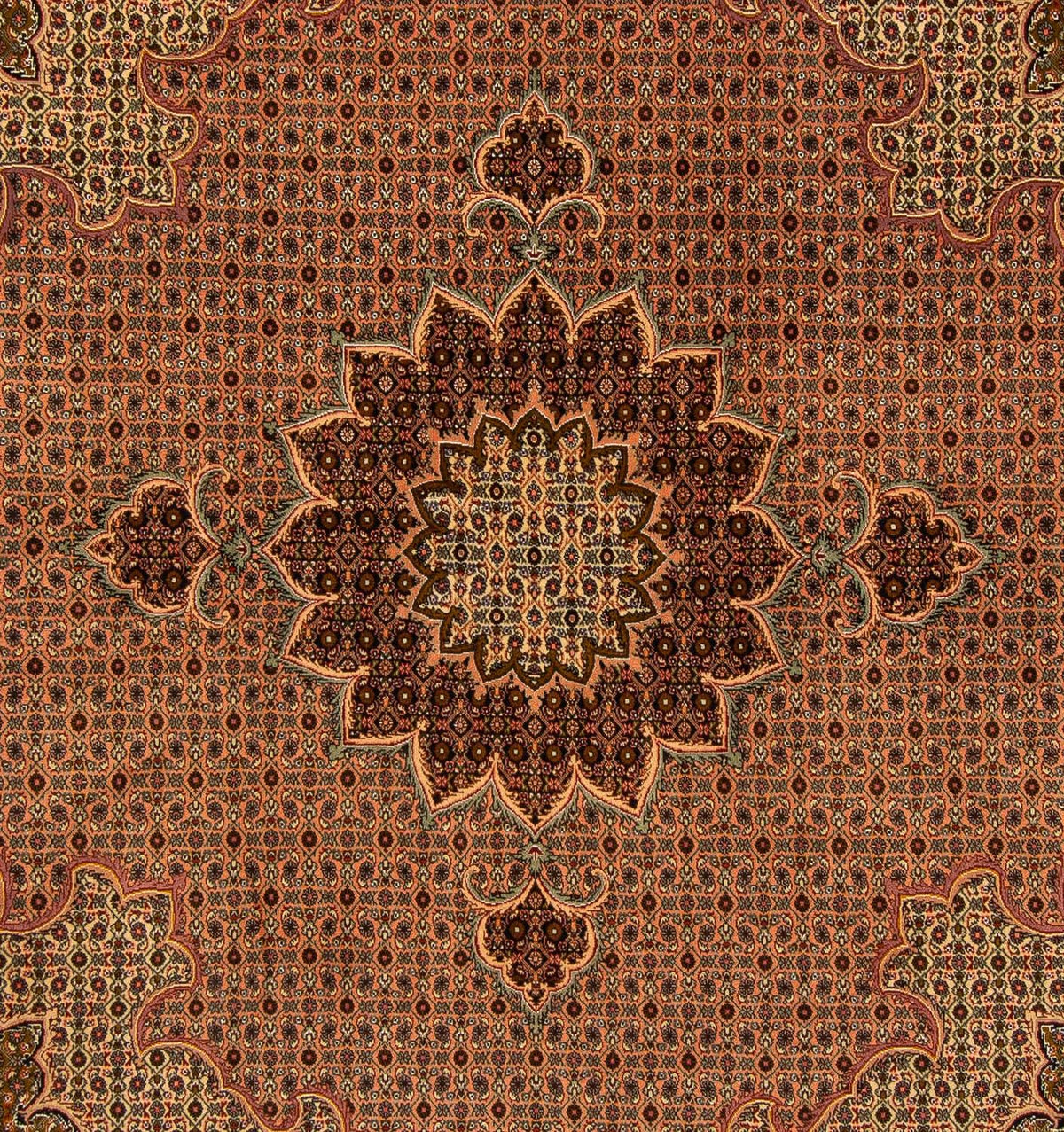 Dywan perski - Tabriz kwadratowy  - 206 x 206 cm - brązowy