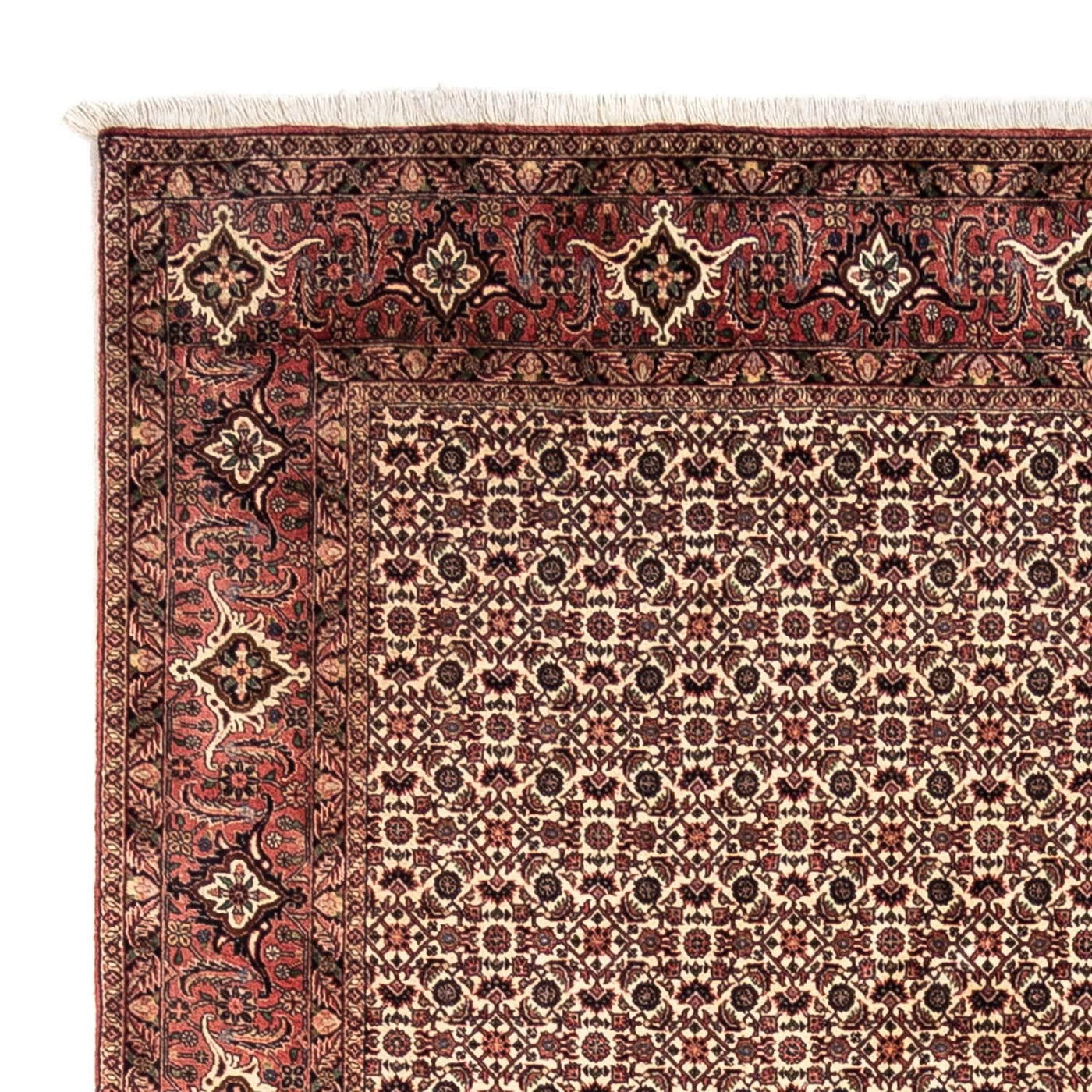 Bidjar - Takab Dywan 302x208cm - Dywan perski