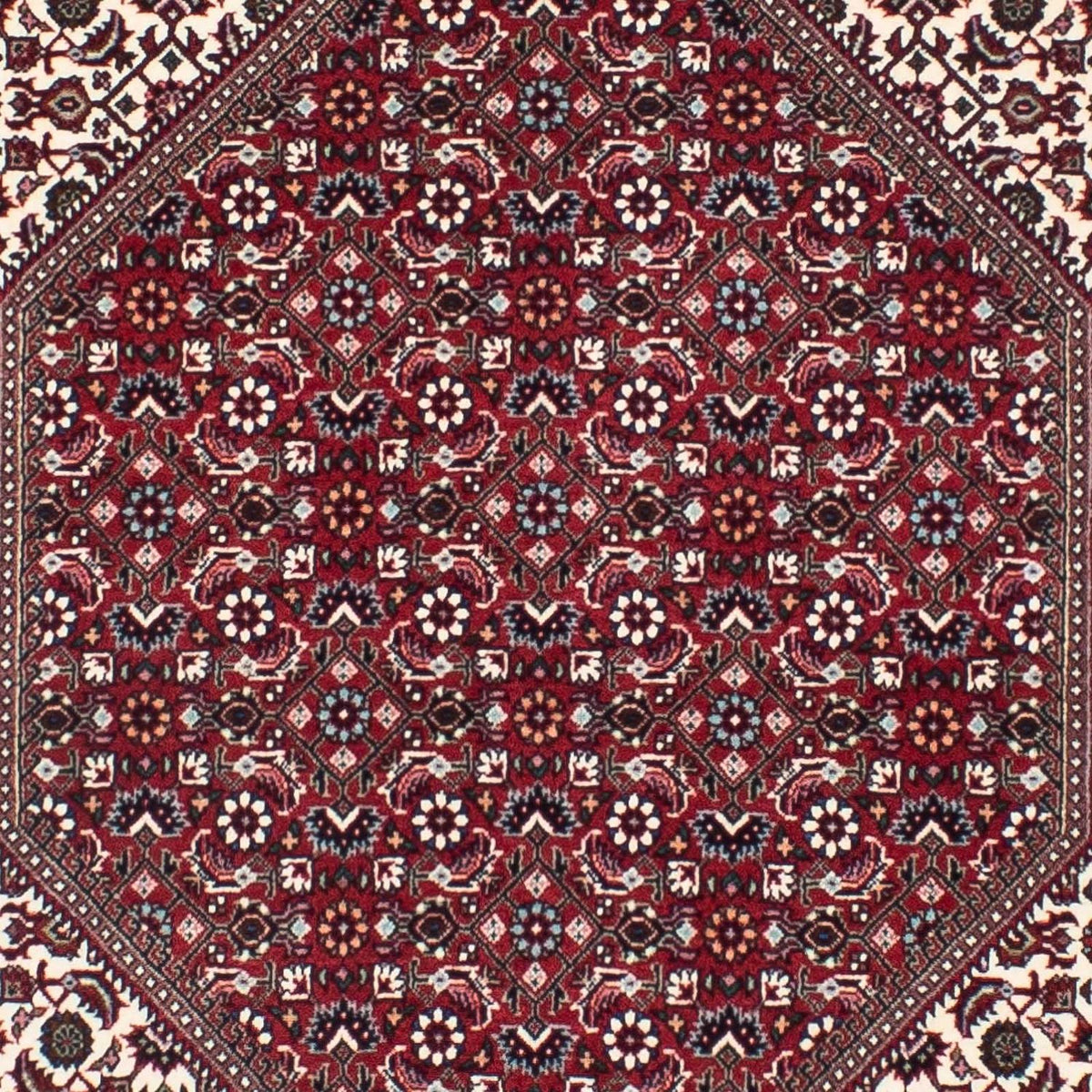 Biegacz Dywan perski - Bijar - 300 x 85 cm - beżowy