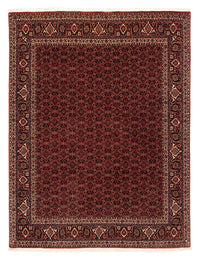 Bidjar Dywan 202x256cm - Dywan perski – product image