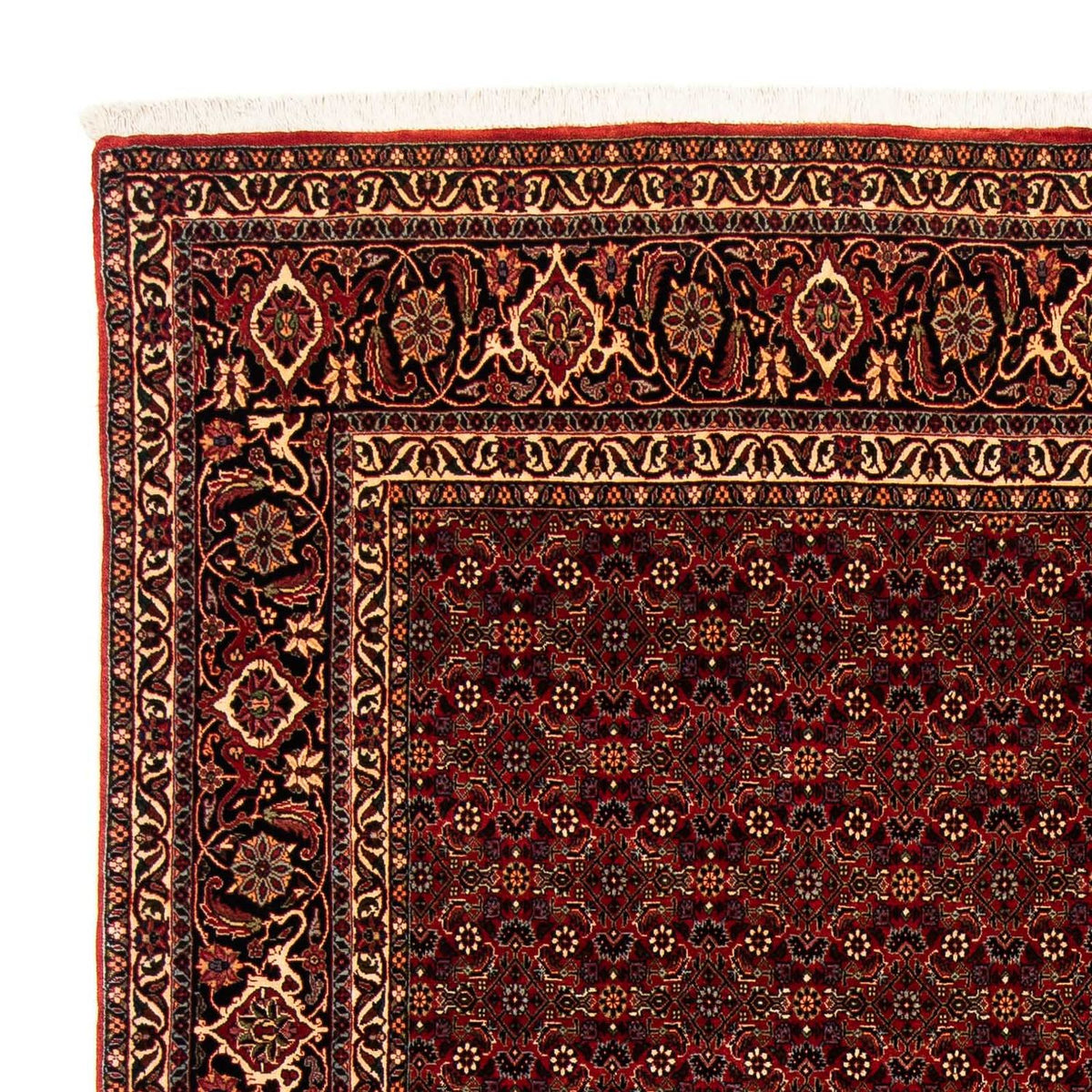 Bidjar Dywan 202x256cm - Dywan perski