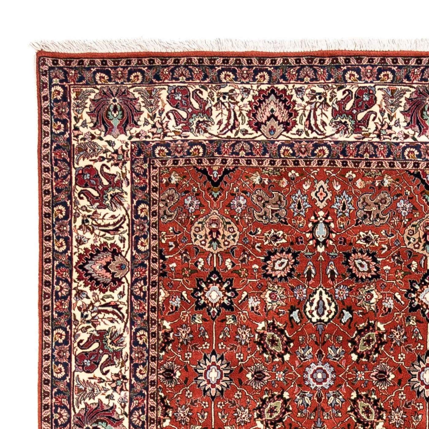 Bidjar - Takab Dywan 313x201cm - Dywan perski
