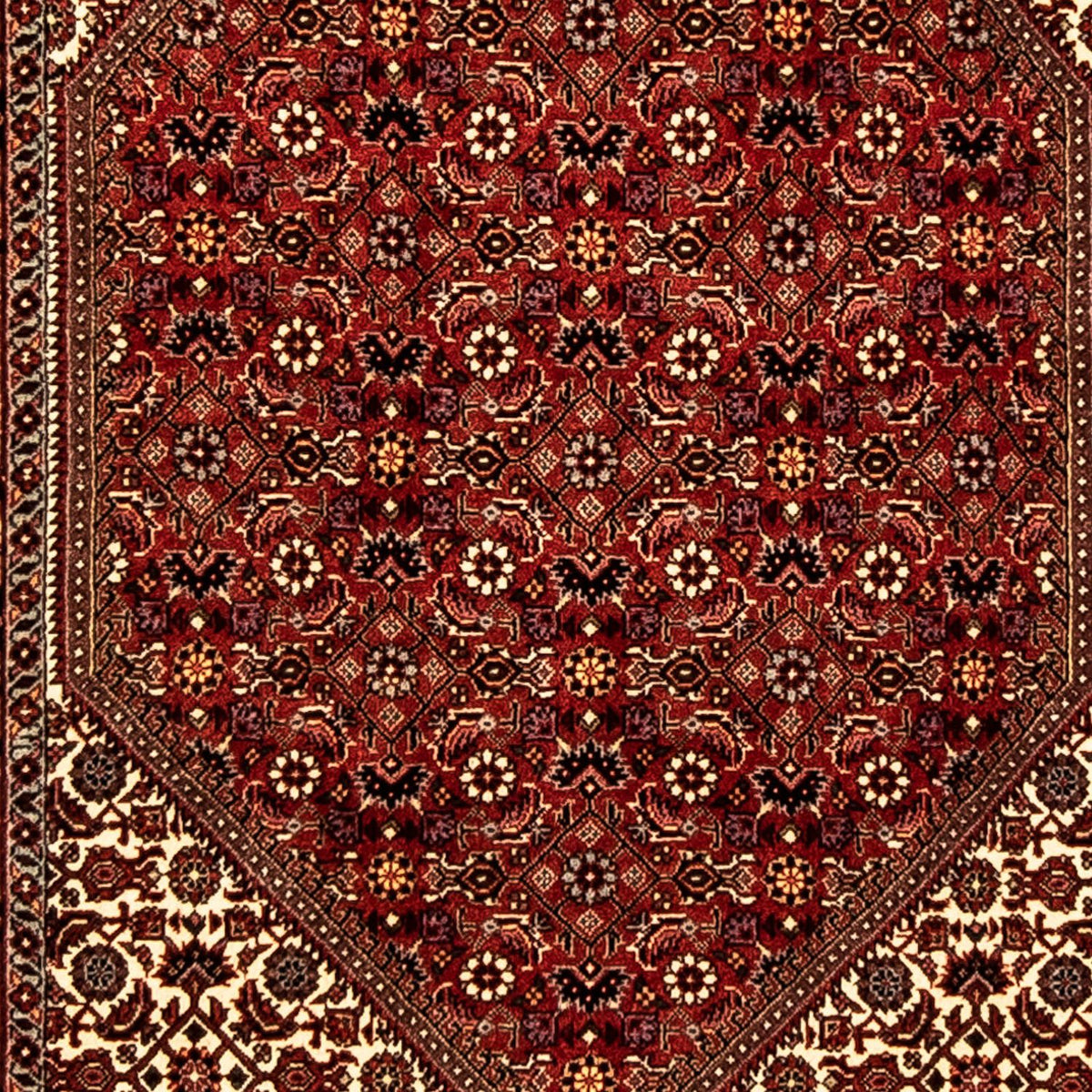 Biegacz Dywan perski - Bijar - 303 x 84 cm - wielokolorowy