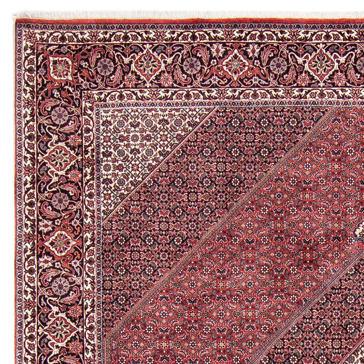 Bidjar Dywan 253x302cm - Dywan perski