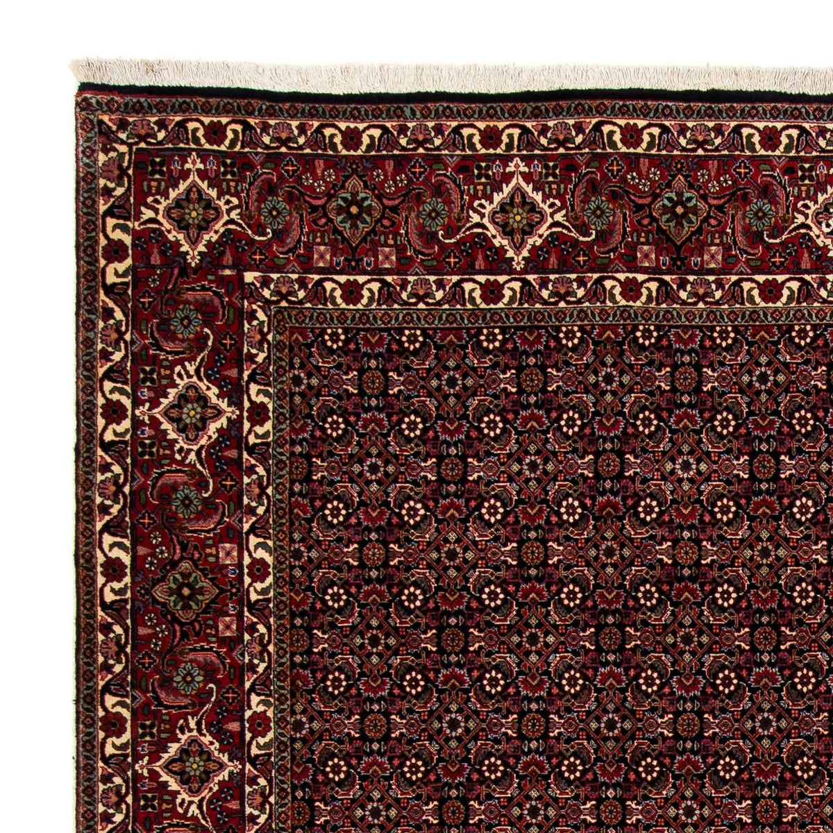 Bidjar Dywan 198x248cm - Dywan perski