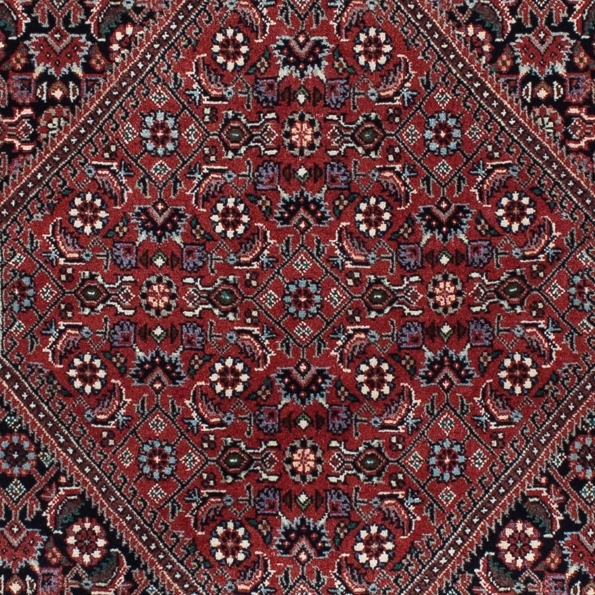 Biegacz Dywan perski - Bijar - 217 x 73 cm - ciemnoniebieski