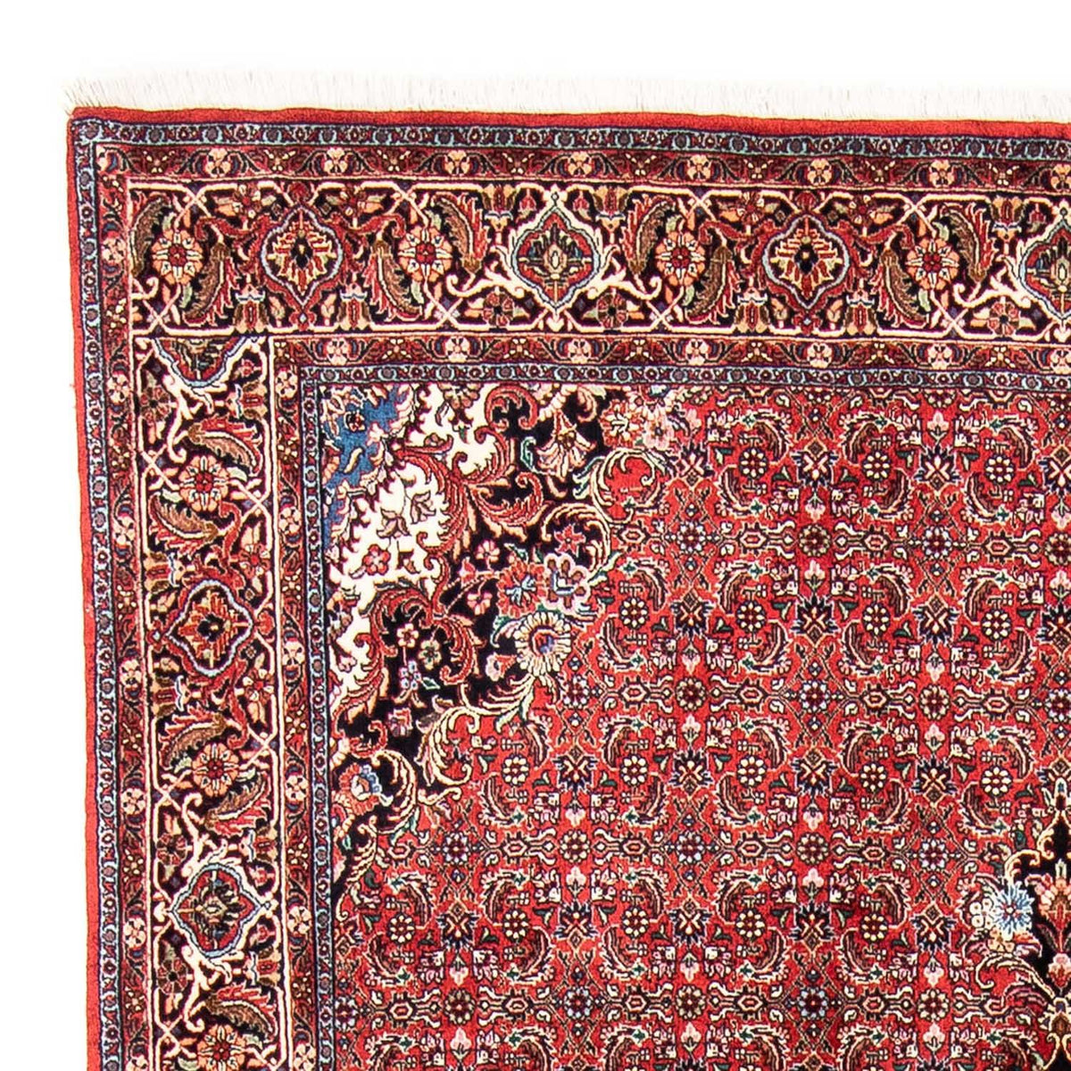 Bidjar Dywan 166x233cm - Dywan perski