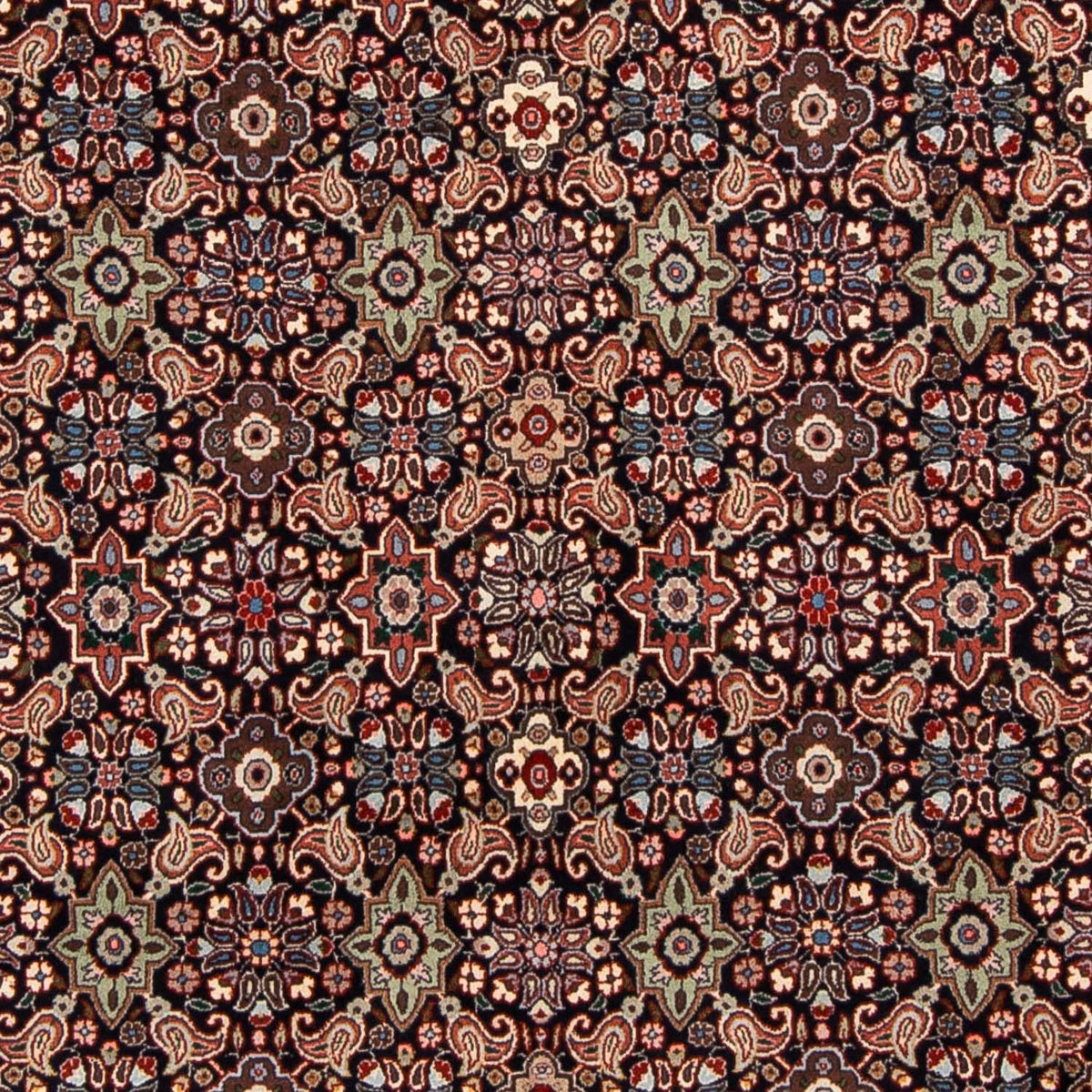 Dywan perski - Bijar - 248 x 168 cm - jasnobrązowy