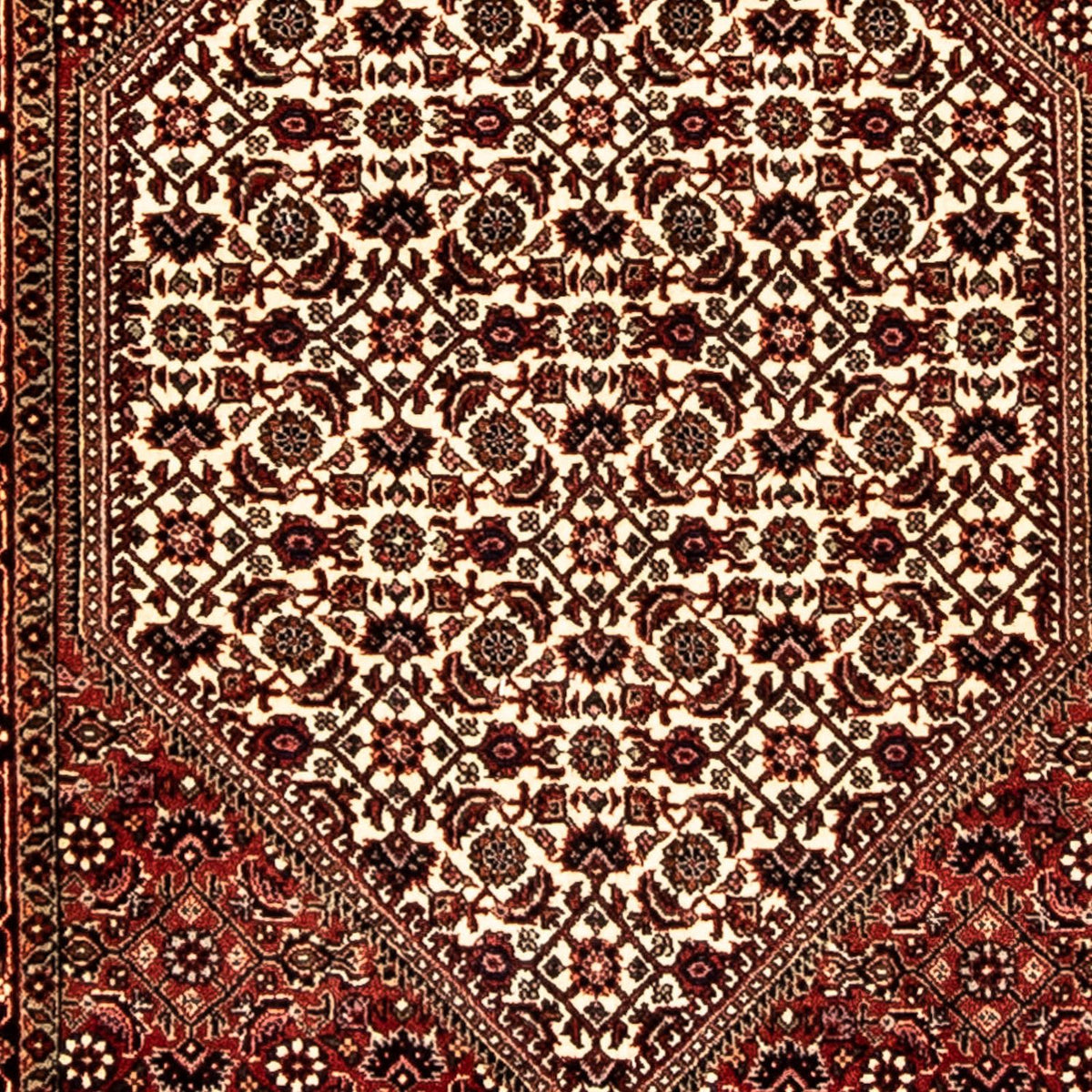 Biegacz Dywan perski - Bijar - 284 x 80 cm - wielokolorowy