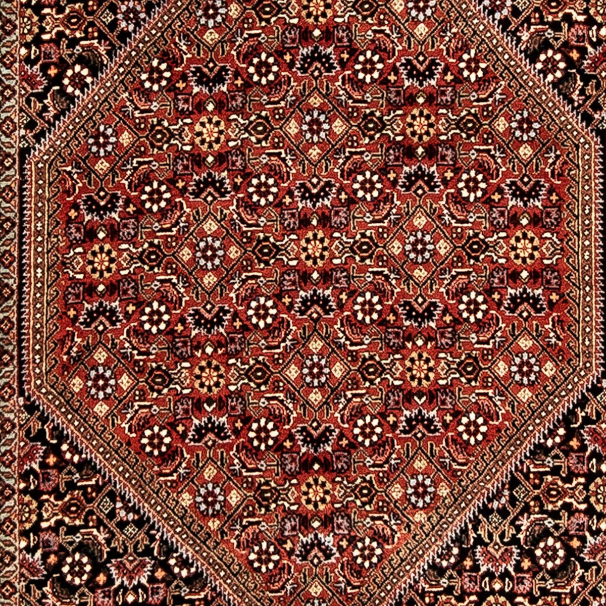 Biegacz Dywan perski - Bijar - 292 x 83 cm - wielokolorowy