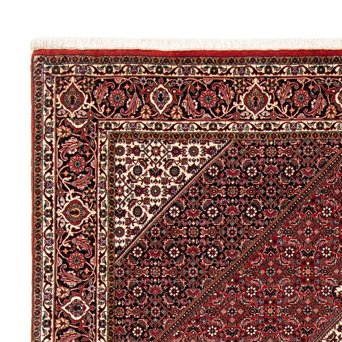 Bidjar Dywan 249x174cm - Dywan perski
