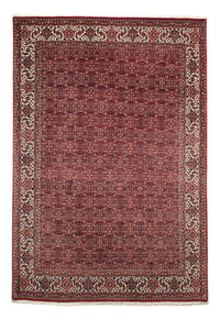 Bidjar Dywan 309x209cm - Dywan perski – product image