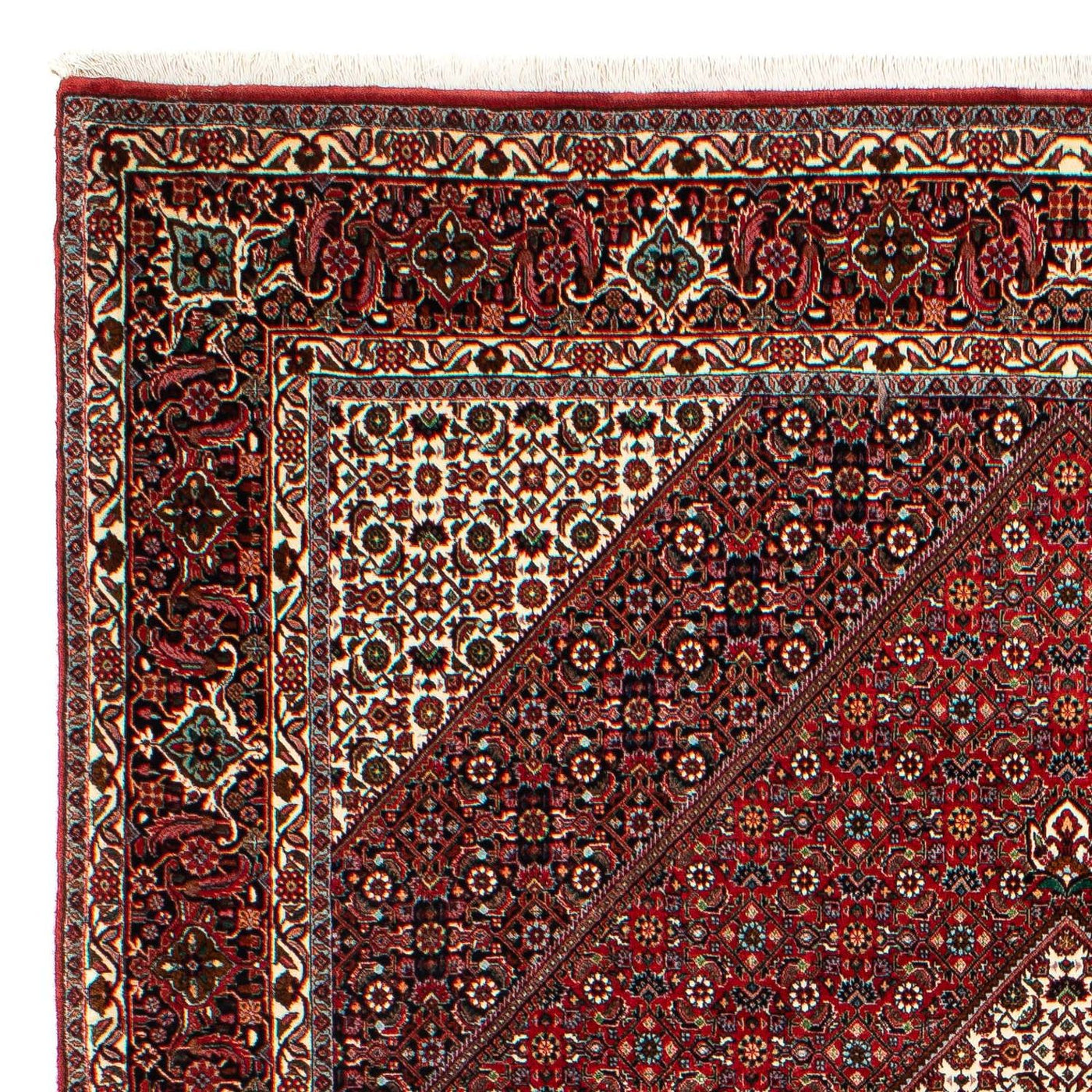 Bidjar Dywan 300x203cm - Dywan perski