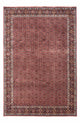 Bidjar - Takab Dywan 306x204cm - Dywan perski