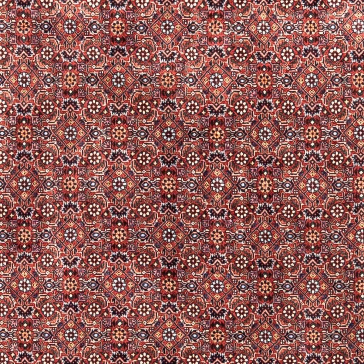 Perski dywan - Bijar - Royal - 306 x 204 cm - czerwony