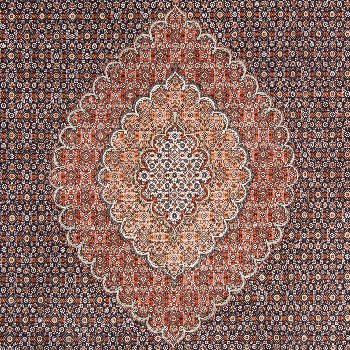 Dywan perski - Tabriz - 305 x 205 cm - ciemnoniebieski