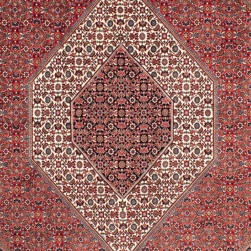 Dywan perski - Bijar - 300 x 203 cm - jasna czerwień