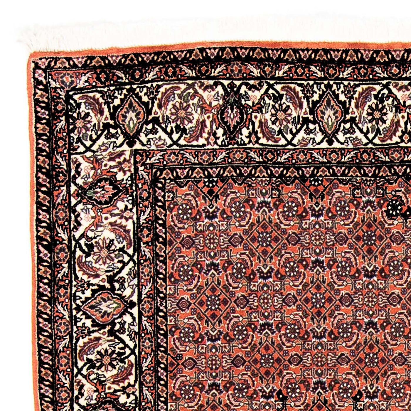 Bidjar Dywan 250x173cm - Dywan perski